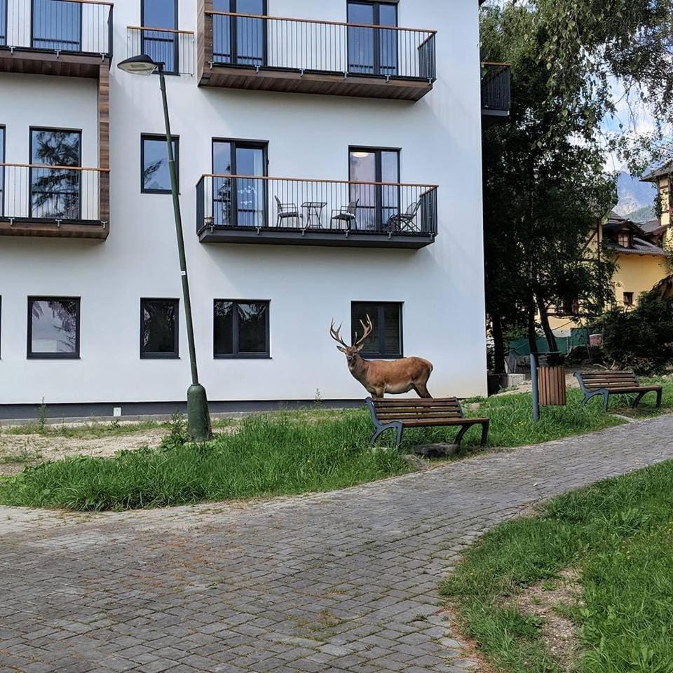 Apartman Hory - V Srdci Tatier Vysoké Tatry Eksteriør bilde